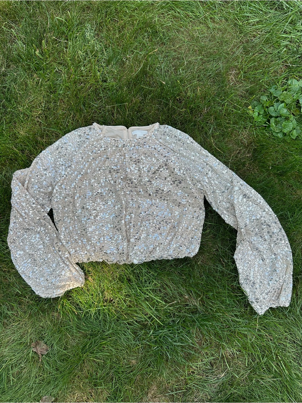 Sequin-Embellished Crop Blouse in Champagne